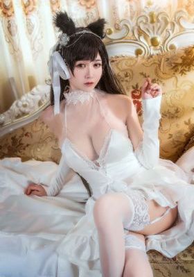 兔子先生第四季在线观看免费